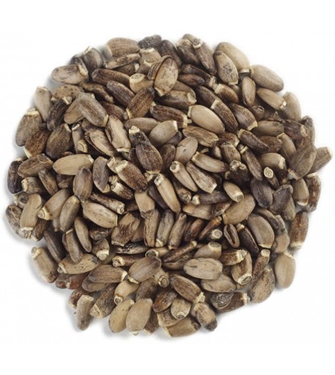 Frontier Herb Whole Milk Thistle Seed (1x1lb)
